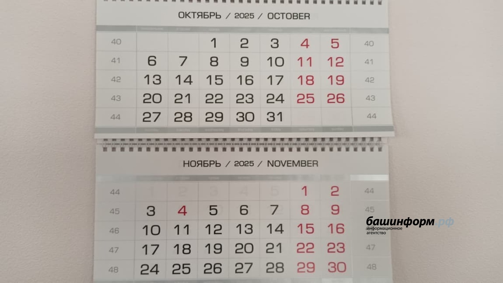 В ноябре жителей Башкирии ждут затяжные выходные