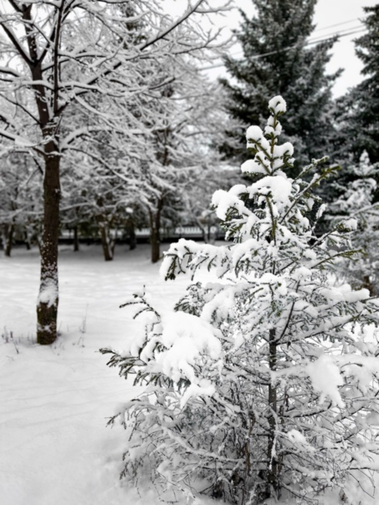 Жителям Башкирии сообщили неожиданный прогноз на январь и февраль