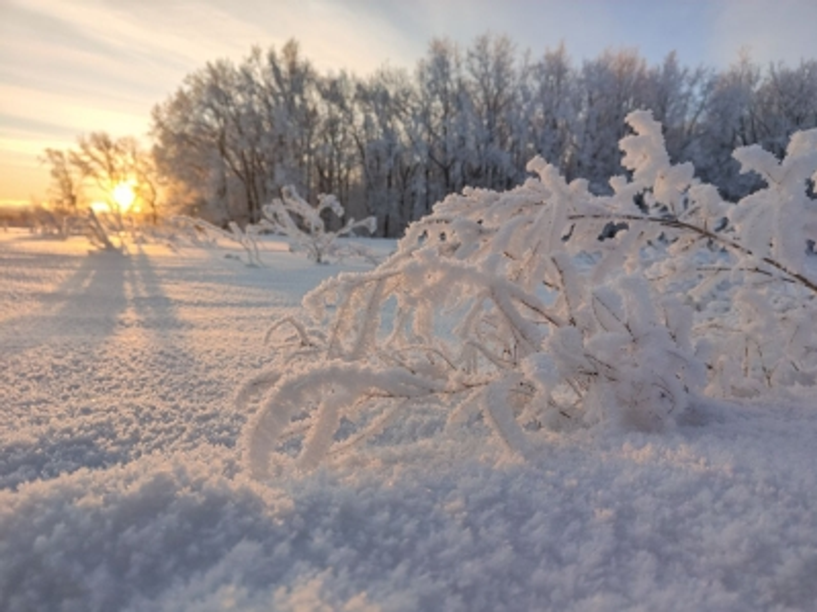 В Башкирии   пополнится  парк спецтехники лесопатрульных  комплексов