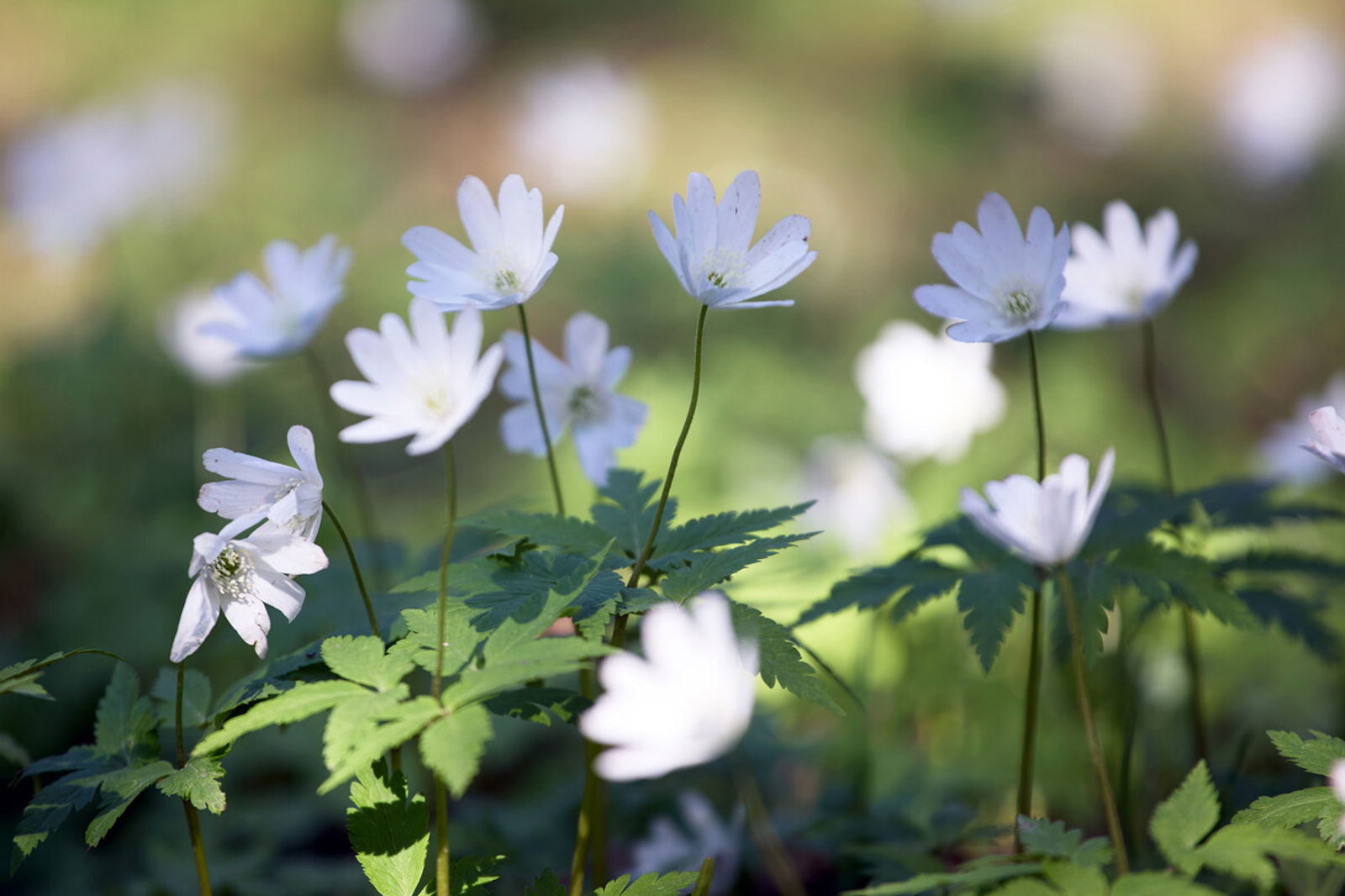 Когда в Башкирии снова потеплеет