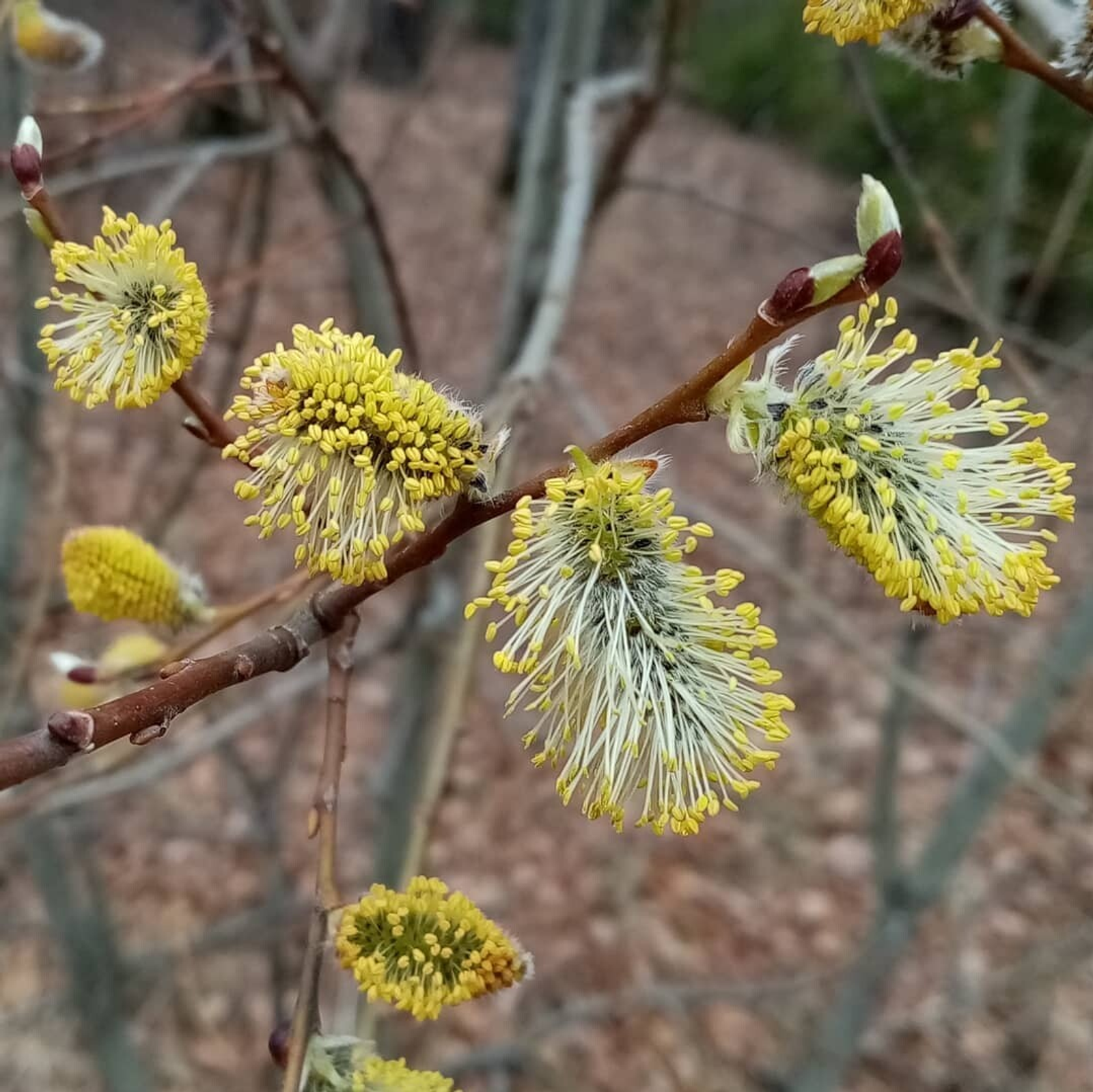 В Башкирии ожидается резкое похолодание
