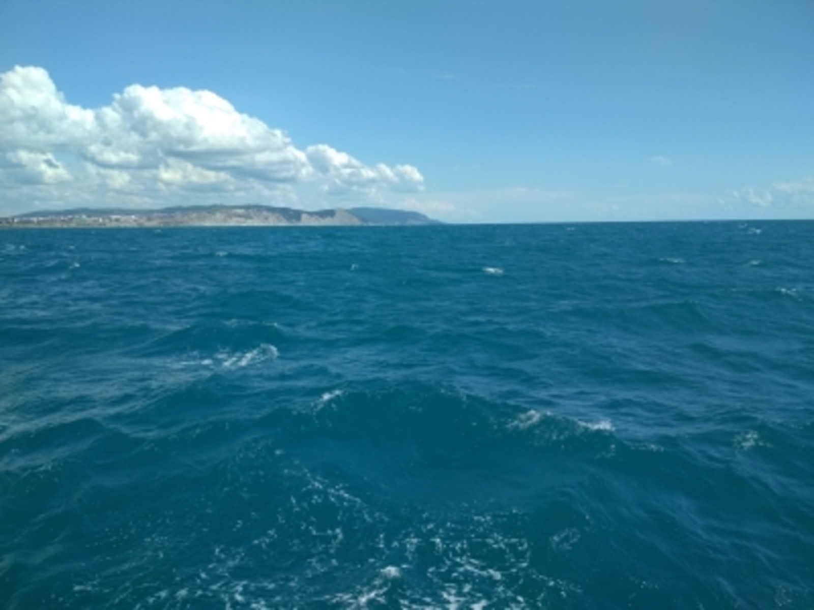 Как получить путёвку в «Артек»