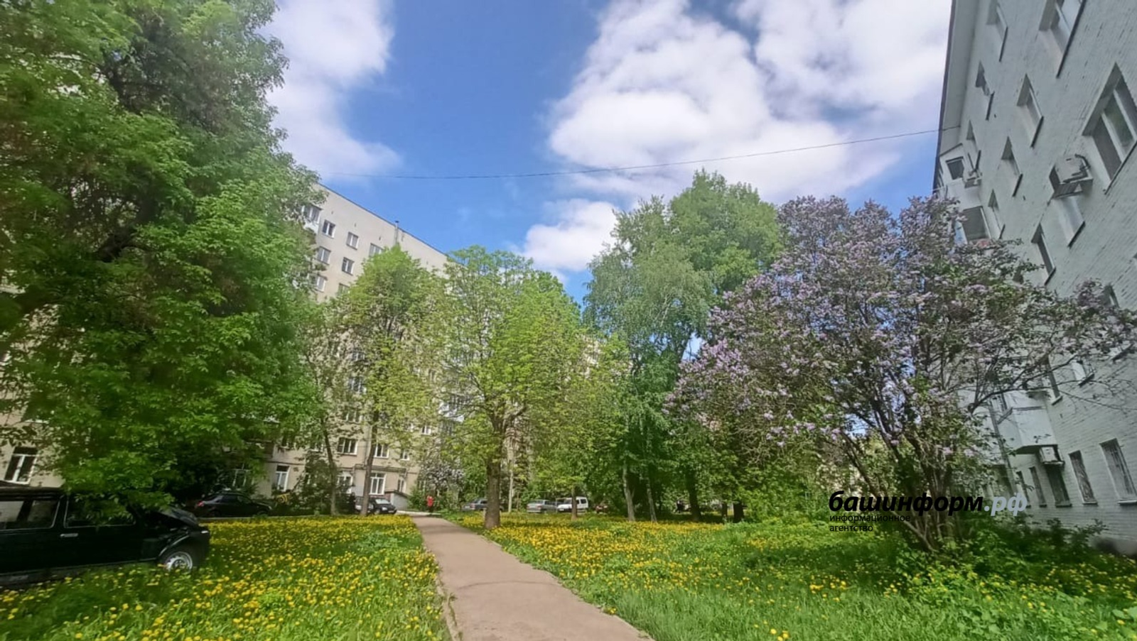 В Уфе под окнами дома нашли труп