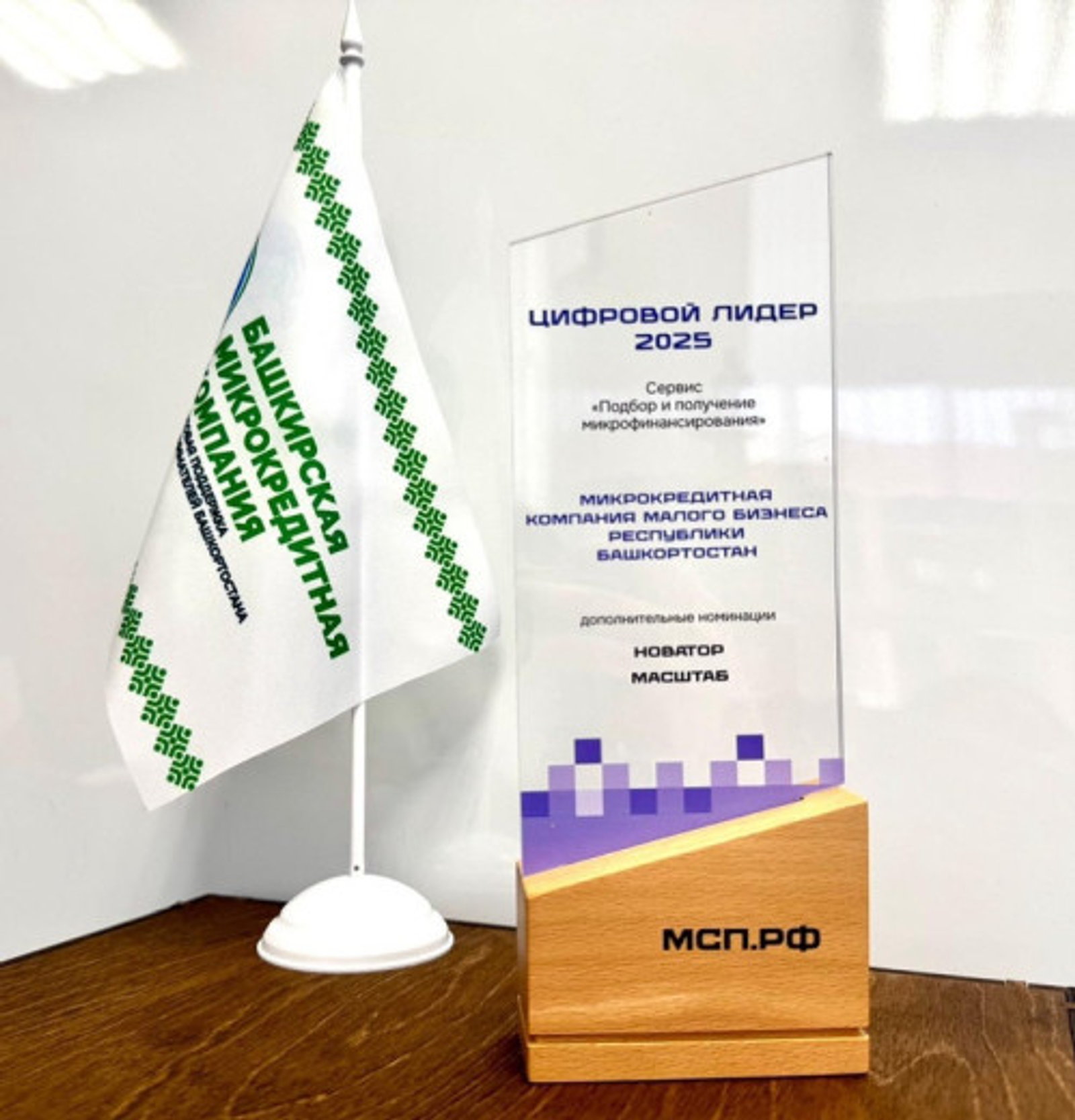Башкирия вошла в число лидеров по цифровой микрофинансовой поддержке
