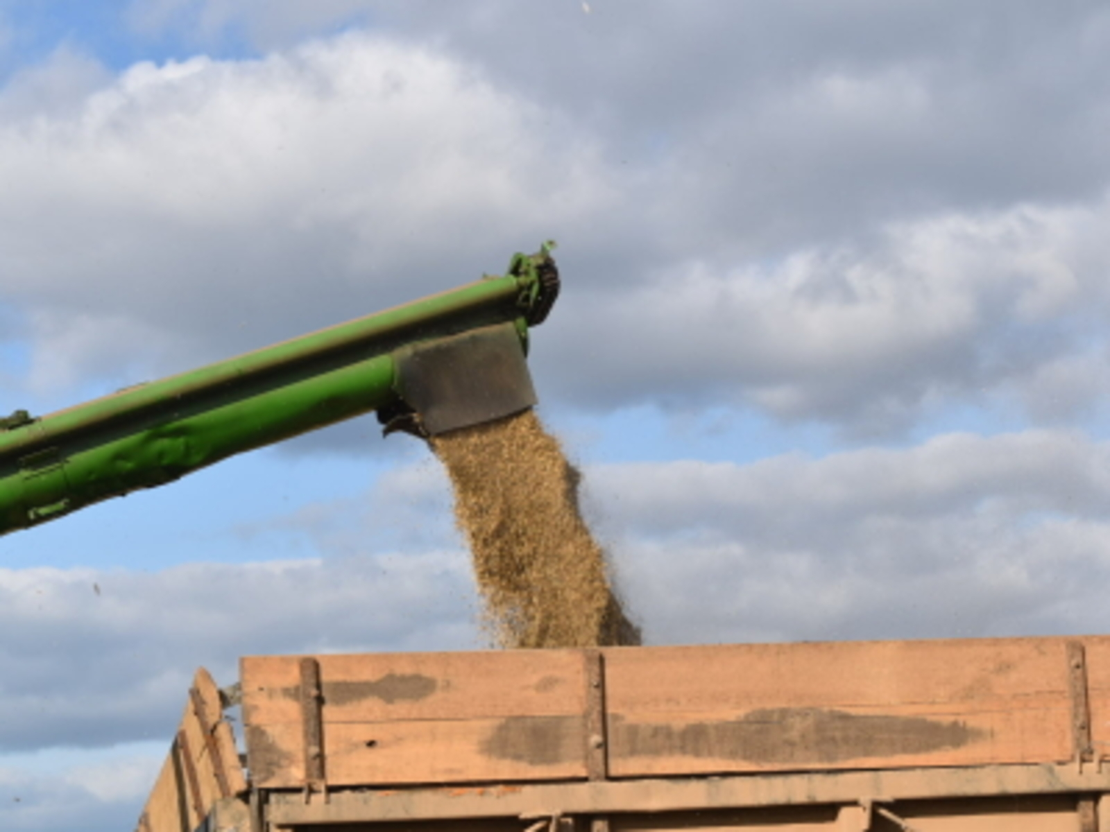 Башкирия накормит Китай, Марокко и Казахстан