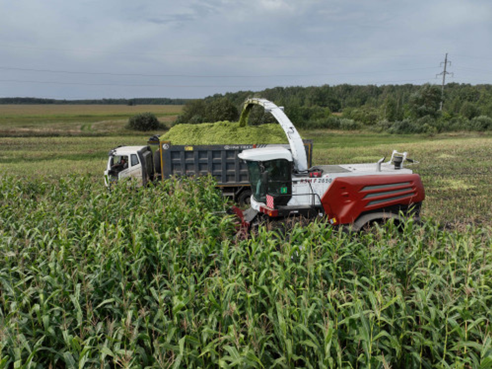 Аграрии Башкирии приобрели 1335 единиц сельскохозяйственной техники