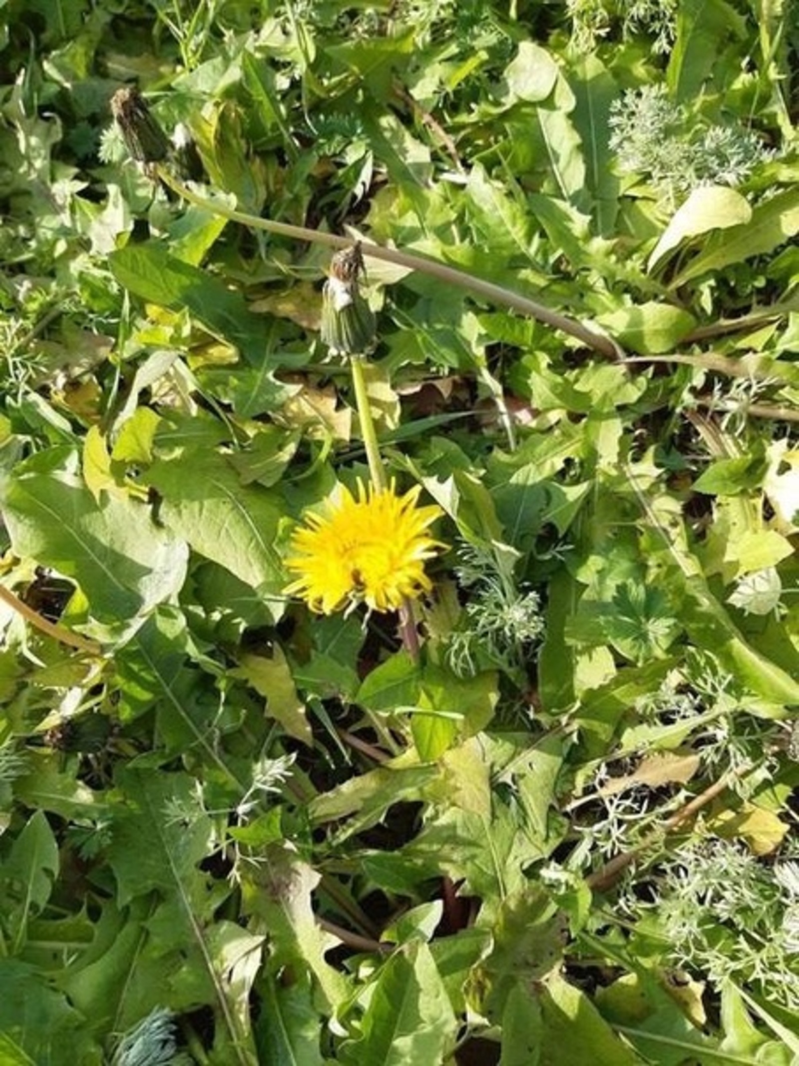 В Башкирии ожидается мощное арктическое вторжение