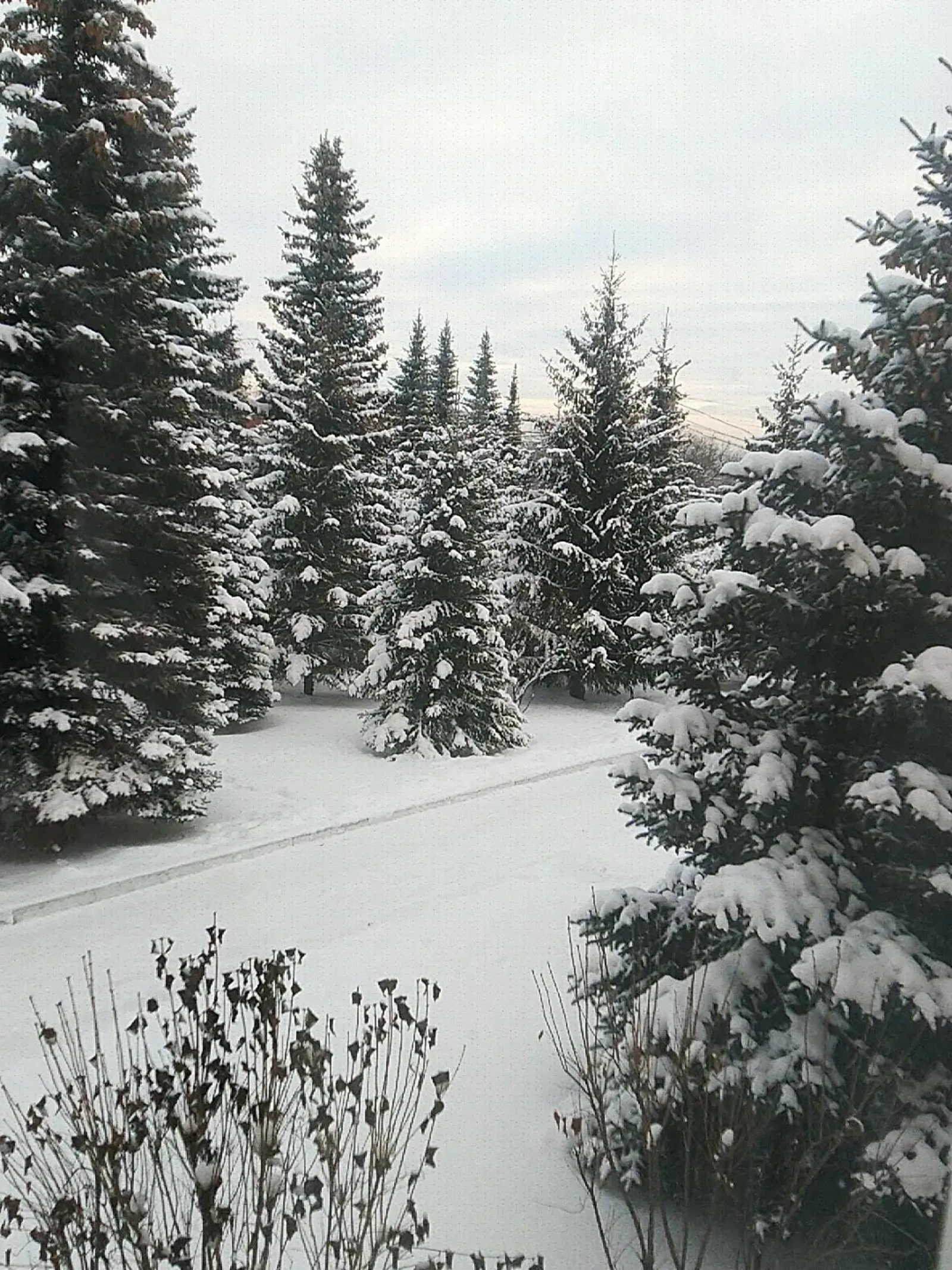 В Башкирии в предстоящие выходные ожидаются морозы