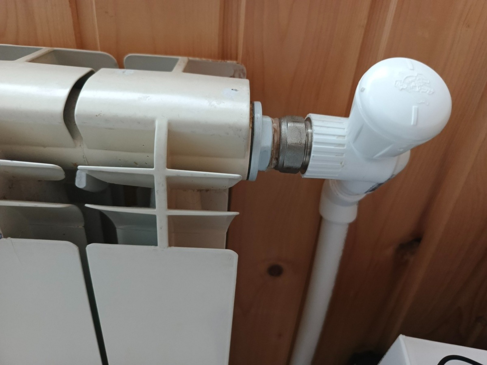 Розалия Хисаева / fotobank02.ru