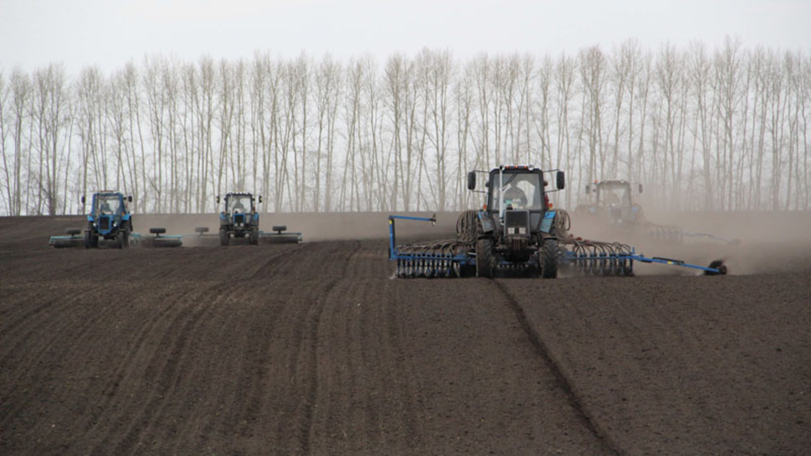 Аграрии Башкортостана засеяли более 70 процентов сельхозугодий